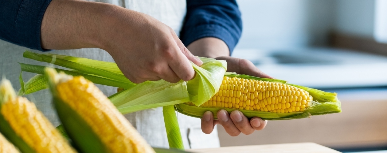 Le maïs sucré d’ici : incomparable et rassembleur