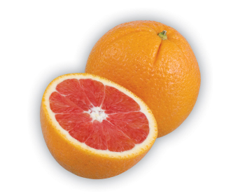 Cara cara orange