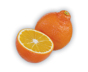 Minneola tangelo